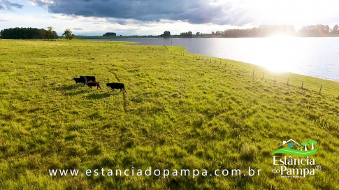 TREM TOP SORGO.00_00_15_20.Quadro003_5cb27e33a6f47eb102bbfc9aa7476de367d233ab.png